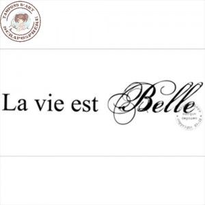tampon-la-vie-est-belle