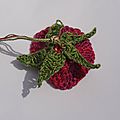 Petites FLEURS crochetees (2)