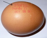 oeuf
