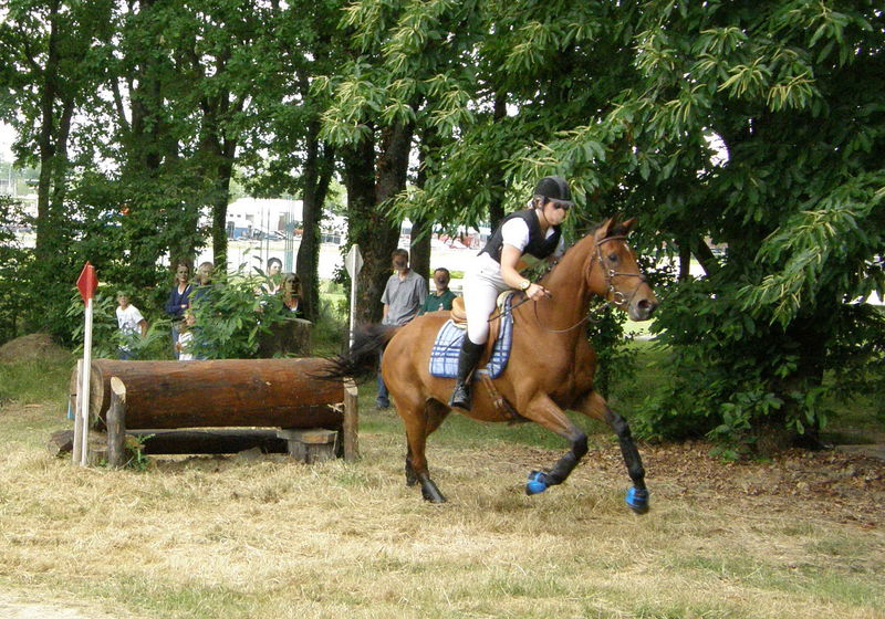 Cross hippique La Roche/ Yon ( 85 ) 2/4 Le coeur vendéen