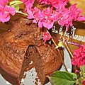 Gâteau moelleux chocolaté et souvenirs de ploumanach' et perros guirec