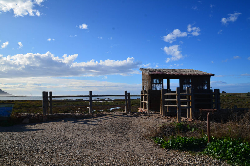 DSC_9954;