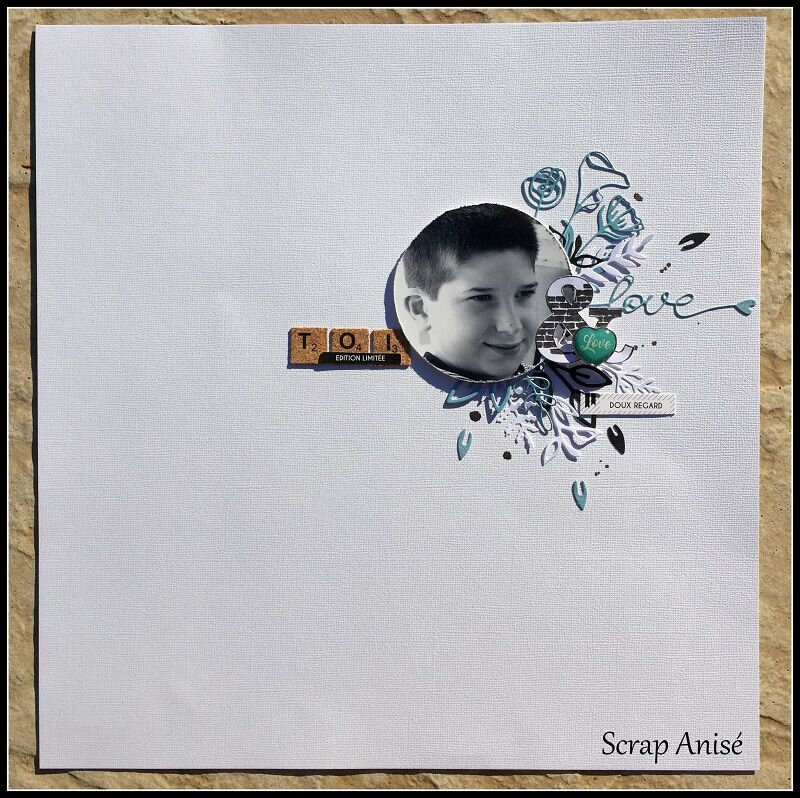 14 - Scrap Anisé