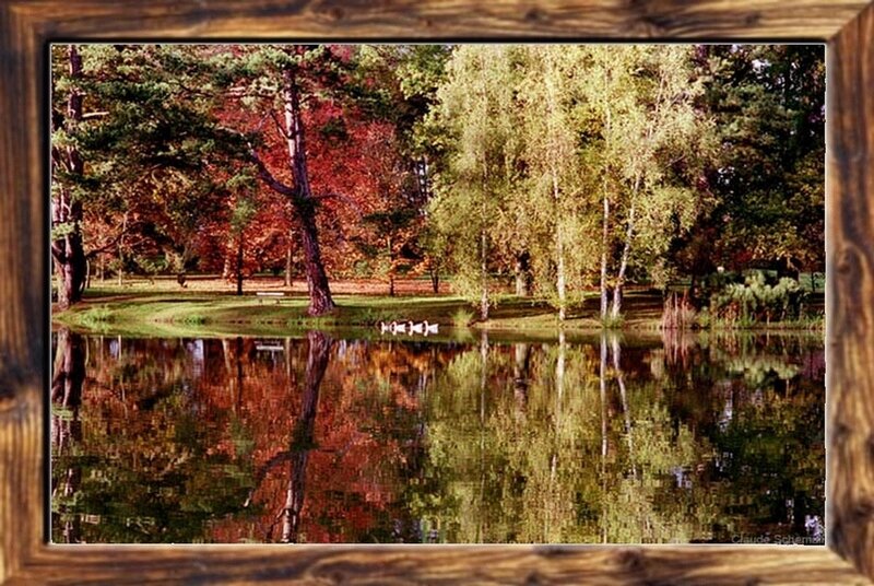 Reflet 1