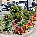 IMG_2802