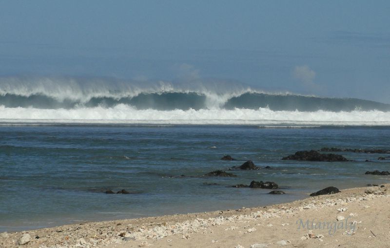 DSC04150