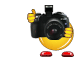 0005
