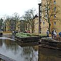 IMGP3274