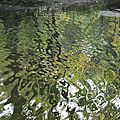 IMG_0241