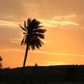 GAFSA (5)