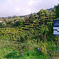 DSC_2004
