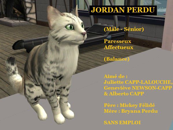 JORDAN PERDU