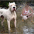 agnes-dog dans l'eau-2