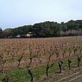 28059279_10215482667517816_5018728111732161064_n - Copie