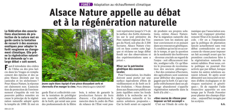 Article DNA Alsace Nature et régénération naturelle de la forêt