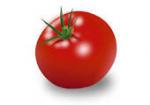 Résultat de recherche d'images pour "tomate dessin"