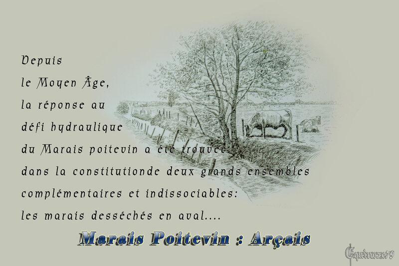 L' histoire du Marais-Poitevin, les premiers dessèchement du Bas Poitou