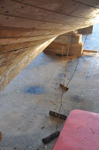 ST_GUE_BENjardin 023