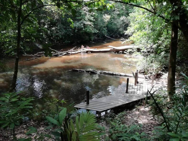 sentier du bagne des annamites les eba guyanais 2018 2021