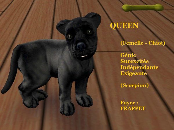QUEEN