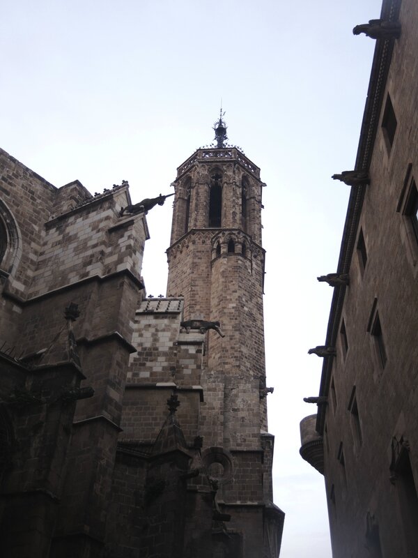 DSCN4690
