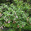 DSCN2546