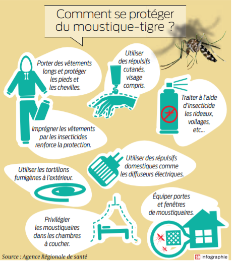 2021 06 16 moustique tigre2