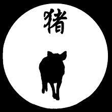 cochon chinois