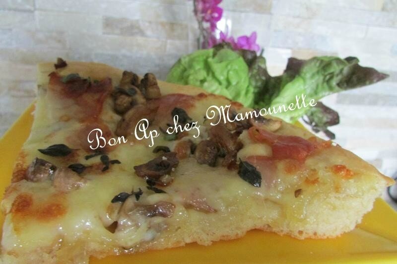 pizza champignons jambon bayonne mozza 002-