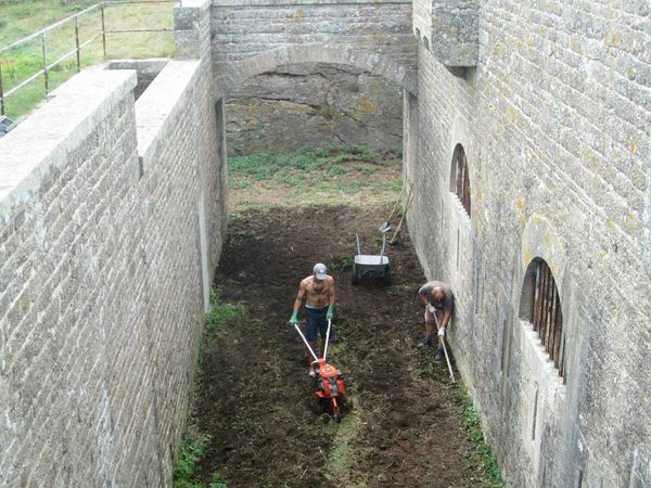 rotobinage-des-douves