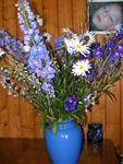 Les_framboises_chez_Monique_le_15_juillet_2009_036