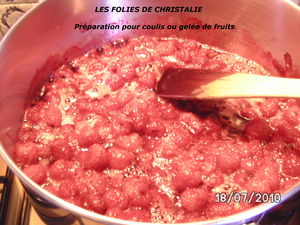 Pr_paration_pour_coulis_ou_gel_e_de_fruits_2