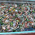 P1250529 (Copier)