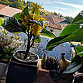 20200818_093251