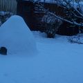 neige janvier 2010