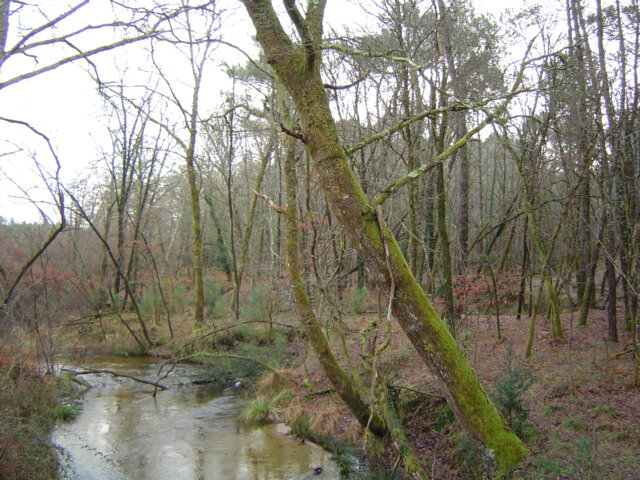 Photo-ruisseau-escource_100451