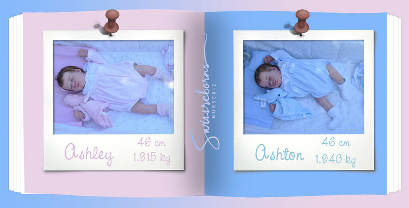 Livre Ashley&Ashton