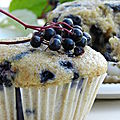 Les muffins aux baies de sureau