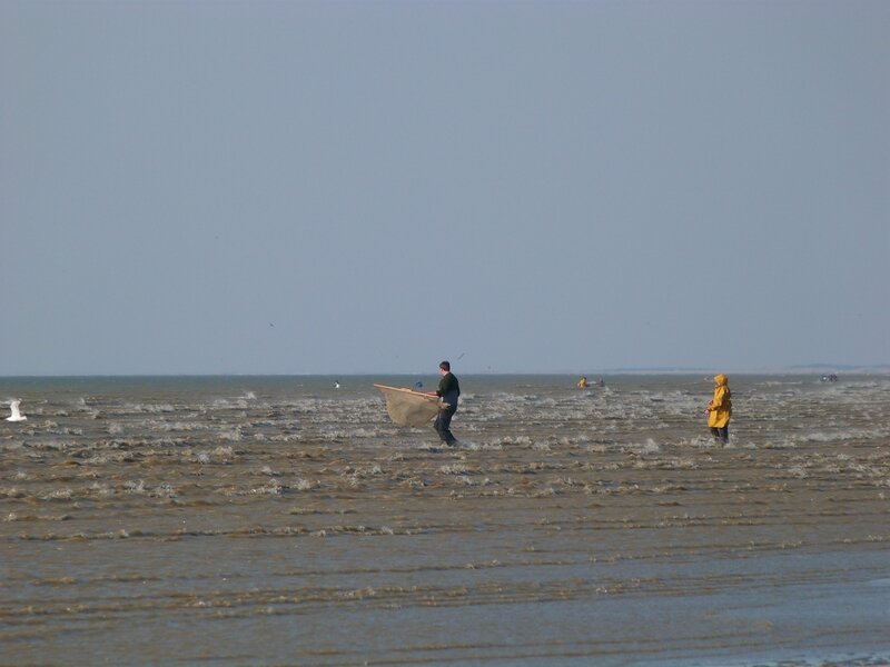 Marée basse 4