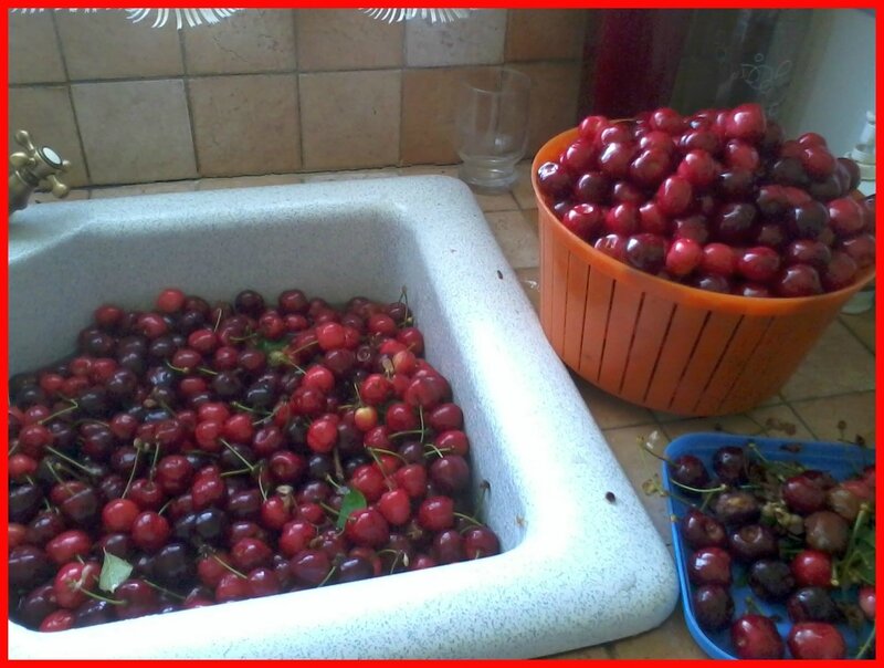 20140529_104253