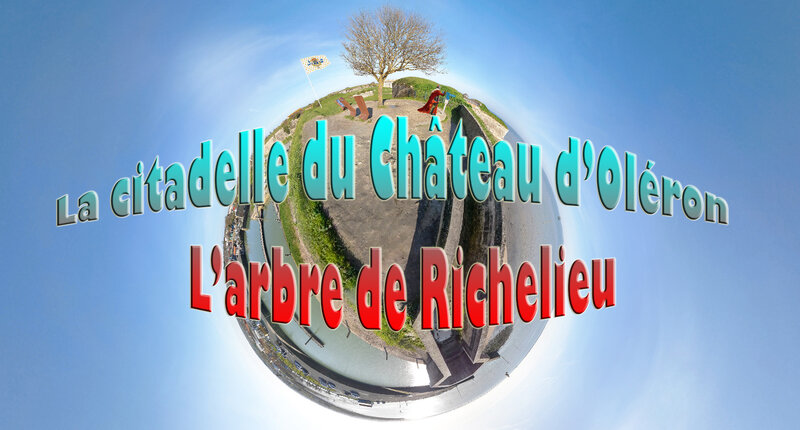 La citadelle du Château d’Oléron - L’arbre de Richelieu