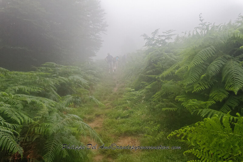 IMG_4560_DxO