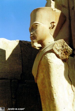 Statue de Ramsès II à Karnak