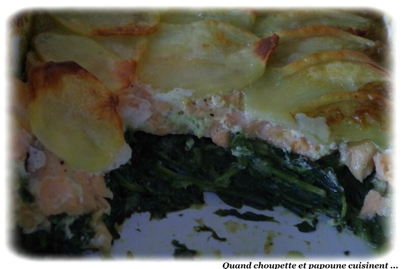 gratin épinard-saumon et pommes de terre-1868