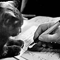 Le chat de l'écrivain, par michelle jolly