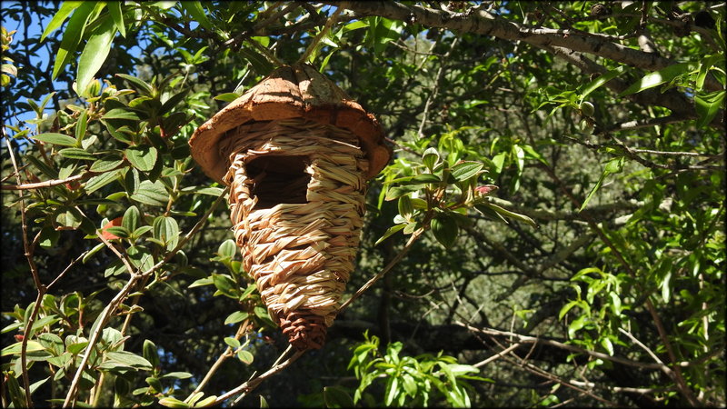 LE_NID_AUX_OISEAUX____