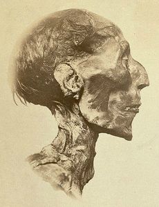 459px-Ramses_II_-_The_mummy