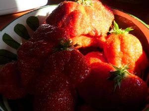 premières fraises 002