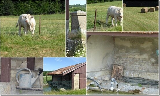 famille juillet 20191