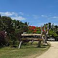 DSC03636